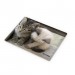 Net-Steals New, Large, Bread(Cutting) Board from Europe - Kitten Love